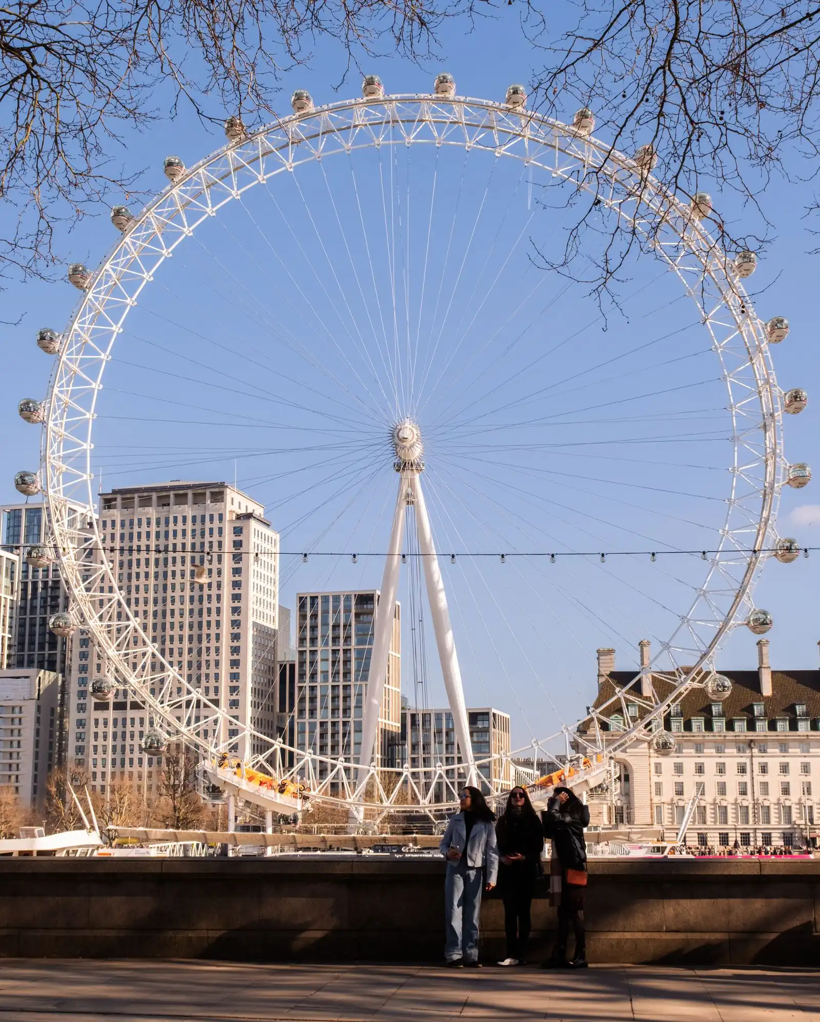 The London Eye observation wheel on the South Bank of the River Thames